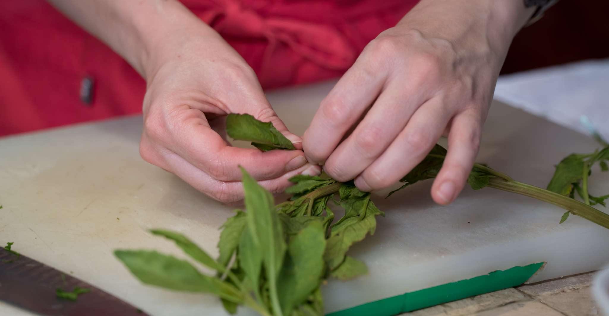 Mexico City: Mexican Cooking Class — photo 4