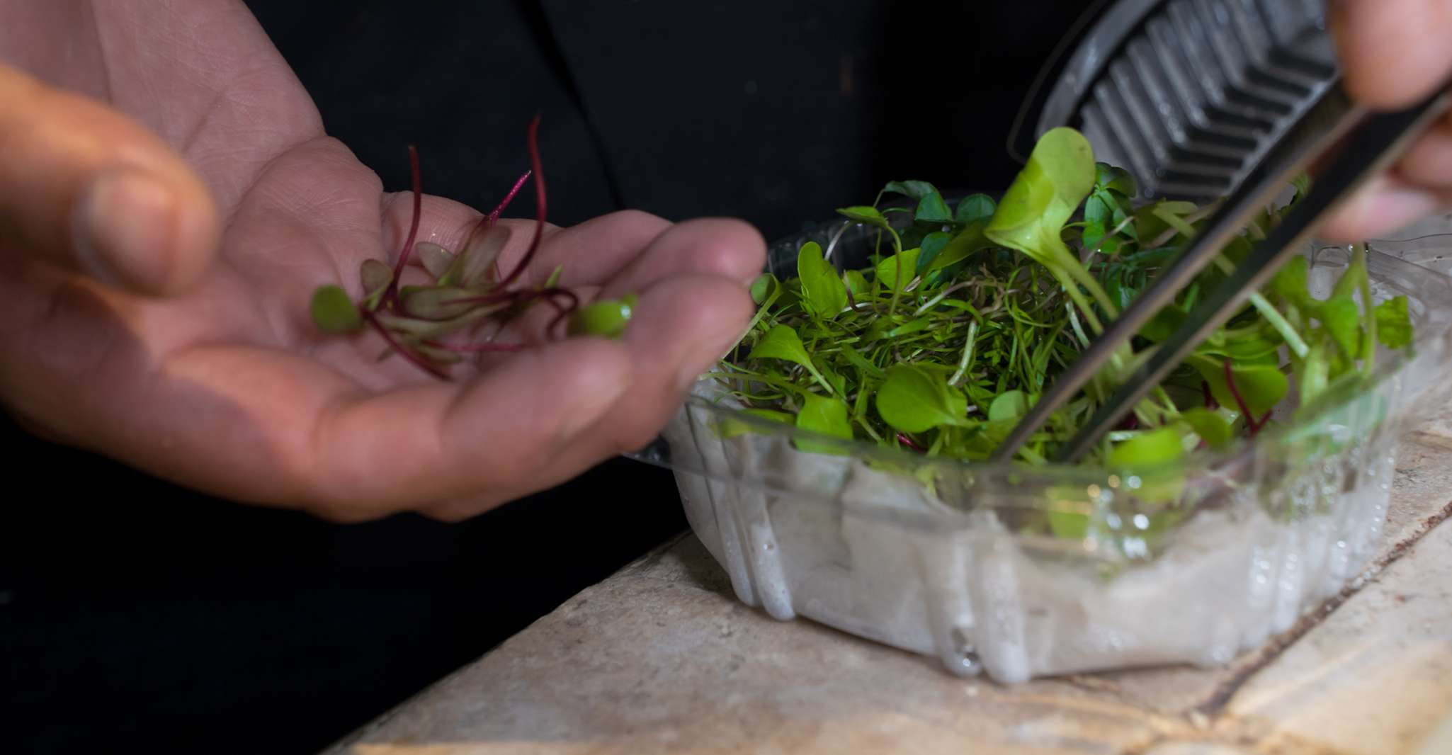 Mexico City: Mexican Cooking Class — photo 8