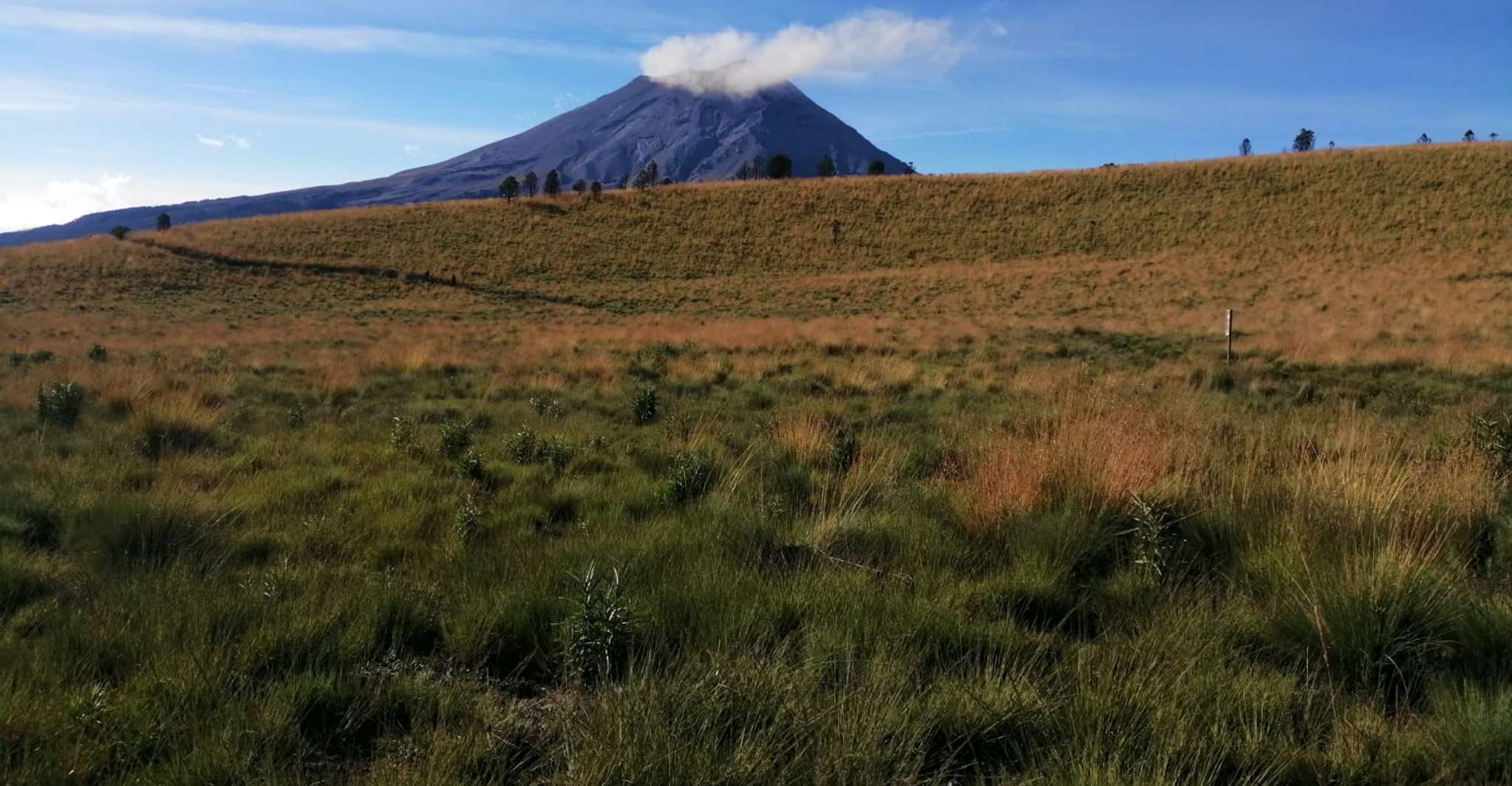 Mexico City: Guided Volcano Trek with Lunch — photo 10
