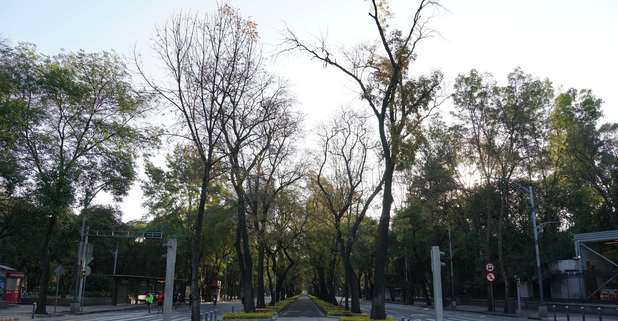 Mexico City: 19 City Highlights Bicycle Tour — photo 5