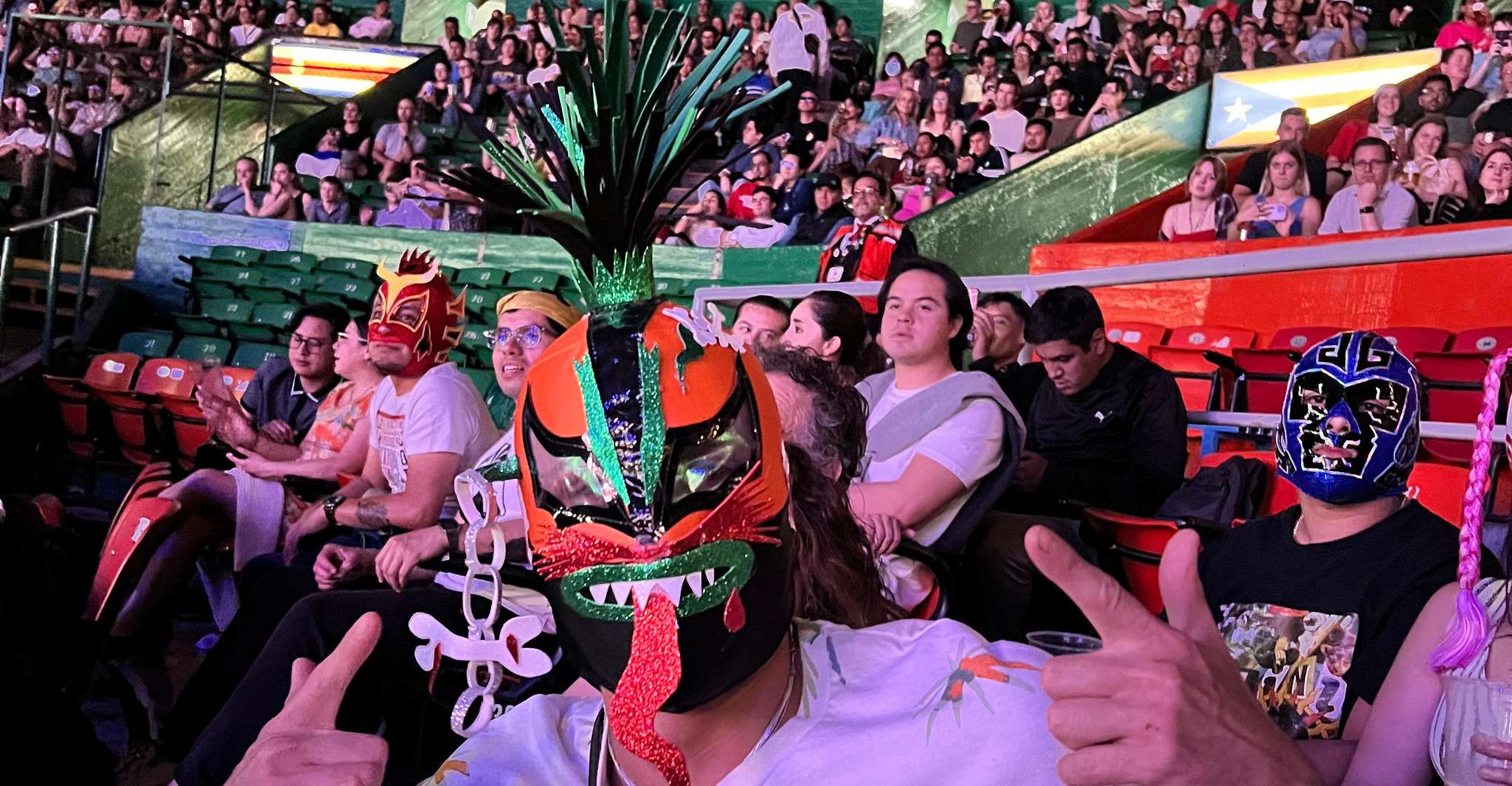 ⭐️Design your Lucha Libre Masks and Let’s to the Live Show!! — photo 1
