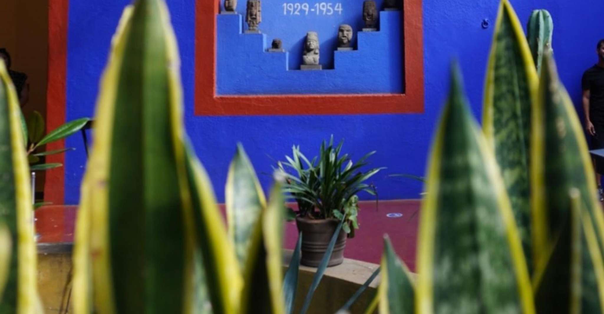 Mexico City: Frida Kahlo Museum Tour