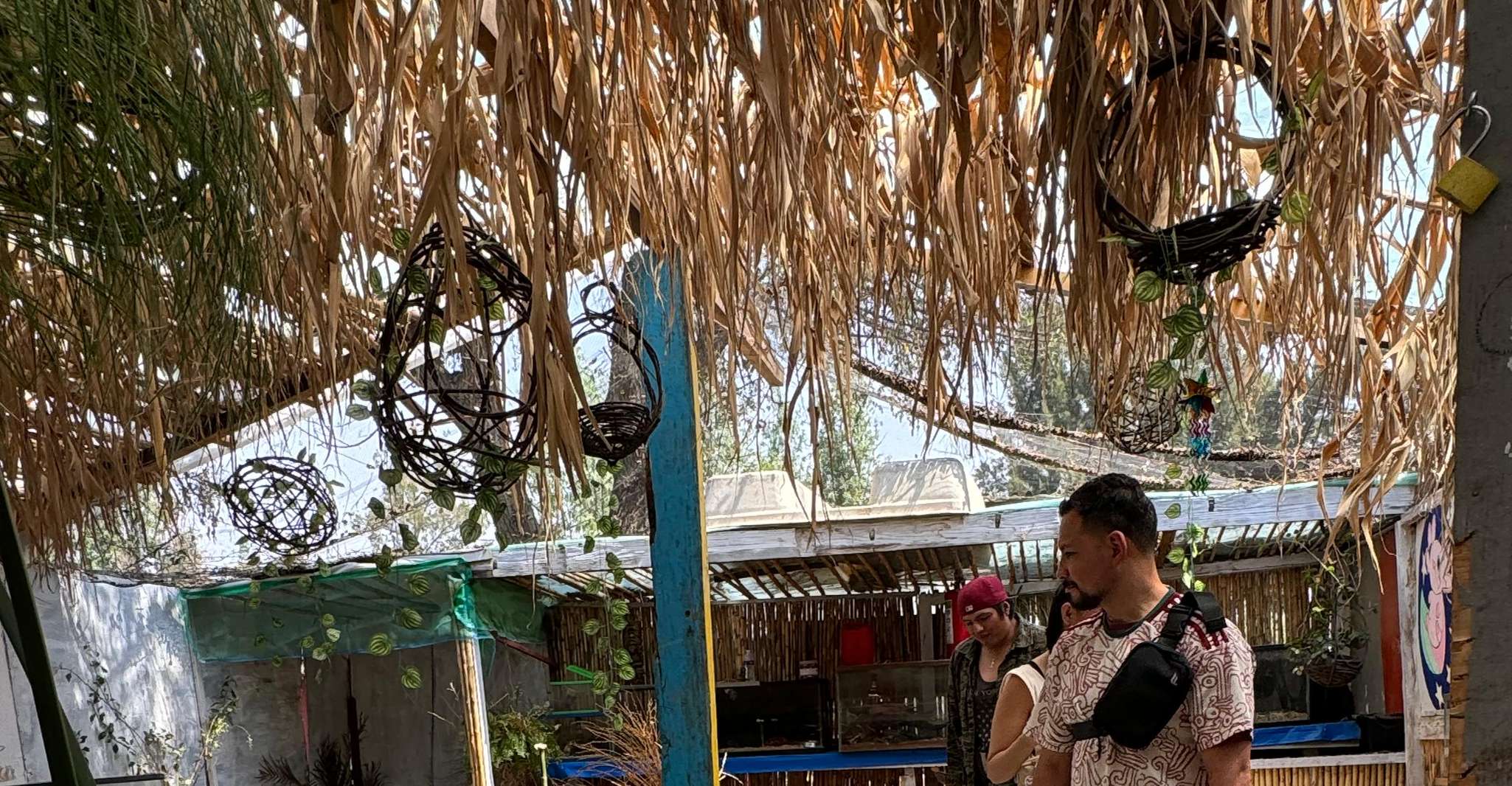 Xochimilco: Axolotl Sanctuary — photo 9