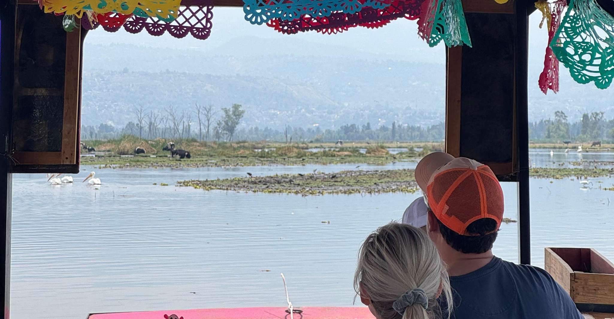 Xochimilco: Axolotl Sanctuary — photo 13