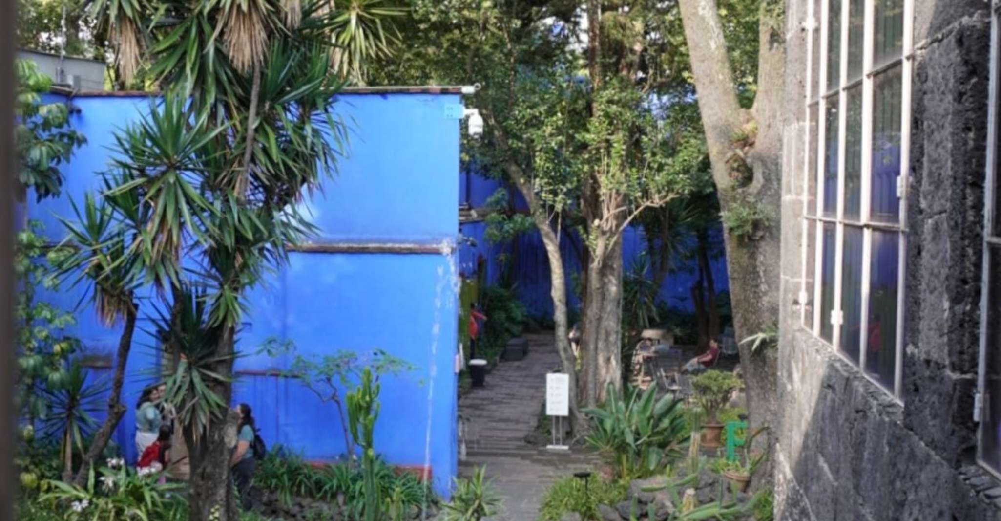 Mexico City: Frida Kahlo Museum Tour — photo 3