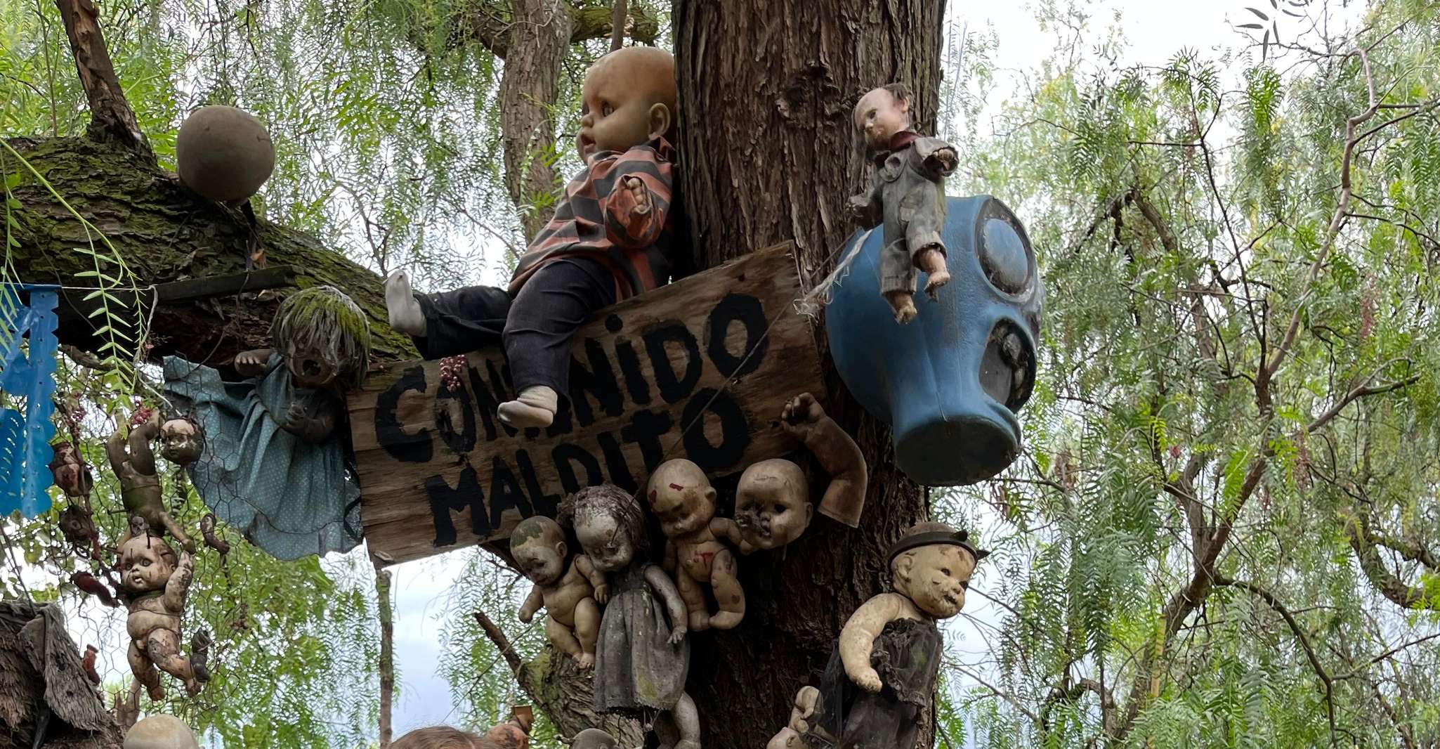 Xochimilco : Island of the dolls, tequila and mezcal CDMX — photo 10