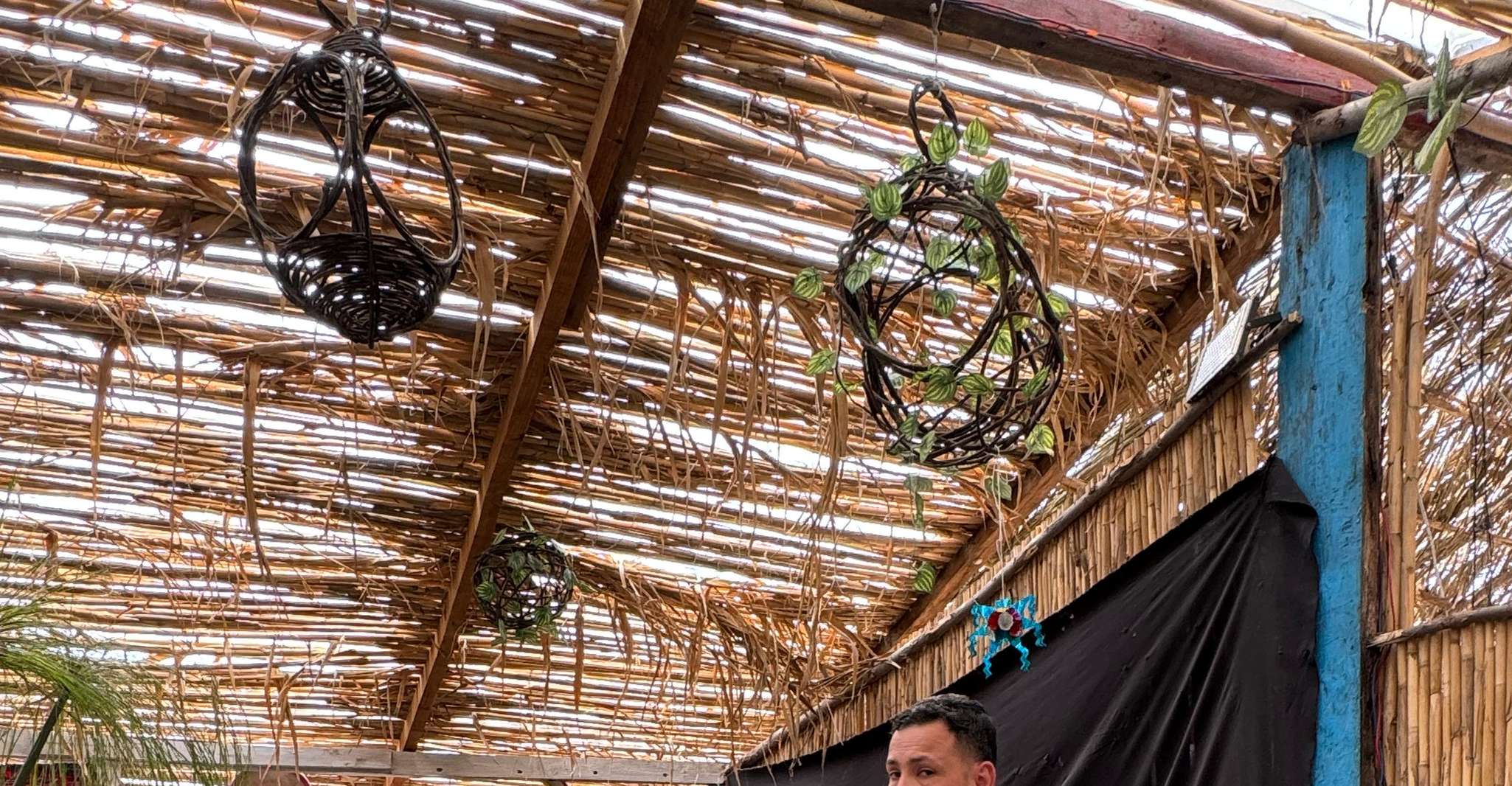 Xochimilco: Axolotl Sanctuary — photo 8