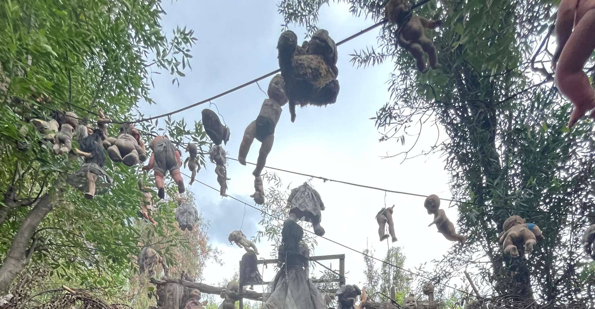 Xochimilco : Island of the dolls, tequila and mezcal CDMX — photo 11