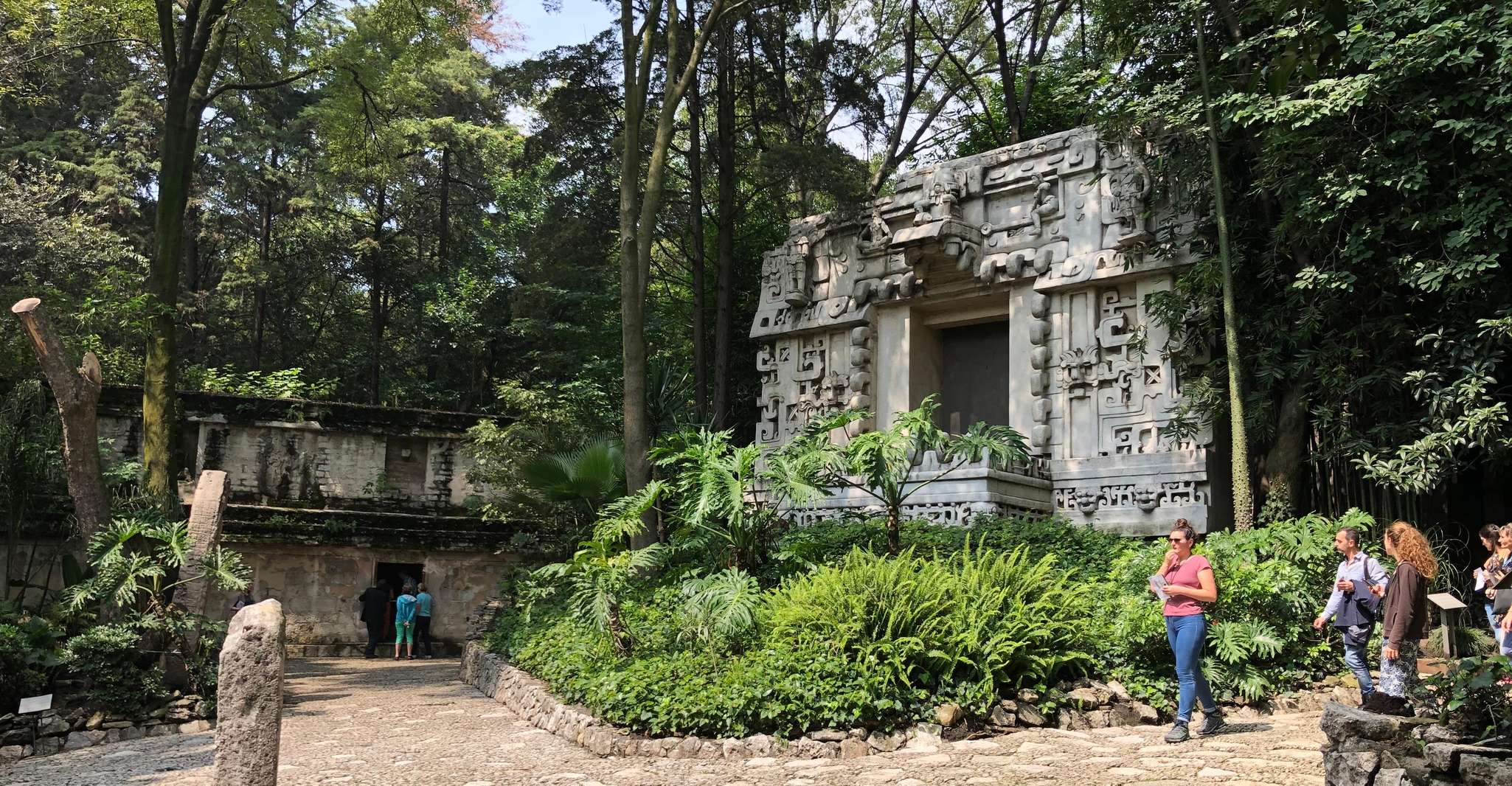 Mexico City: Anthropology Museum Tour with Historian — photo 8